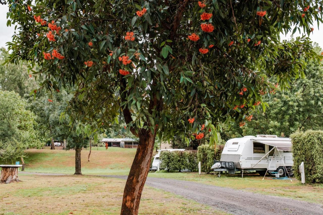 Big4 Breeze Holiday Parks - Ейлдон Екстер'єр фото